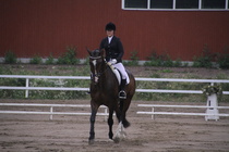 Jenni Ek - Biko (rekisterinimi Igo Drosmigais), 
© Rondy Stenman / Teresa Pollari