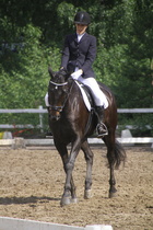 Elisa Kankkunen - Rex (rekisterinimi Rekets) © Rondy Stenman / Teresa Pollari