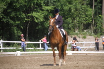 Susanna Salmio – Petrus (rekisterinimellään Peetrus) © Rondy Stenman / Teresa Pollari