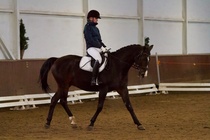 © Filippa Westerlund