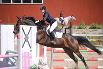 Ronja Nurminen – Osborne (rekisterinimi Otto-Osborn) © Rondy Stenman / Teresa Pollari