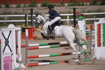 Hanna Kanerva - Silver (rekisterinimeltään Silver Promise) © Rondy Stenman / Teresa Pollari