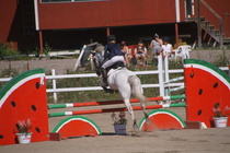 Hanna Kanerva - Silver (rekisterinimeltään Silver Promise) © Rondy Stenman / Teresa Pollari