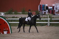 Jeanette Tinnis - Rex (rekisterinimi Rekets) © Rondy Stenman / Teresa Pollari