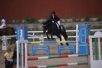 Jeanette Tinnis - Rex (rekisterinimi Rekets) © Rondy Stenman / Teresa Pollari