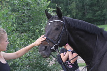 Elisa Kankkunen - Rex (rekisterinimi Rekets) © Rondy Stenman / Teresa Pollari