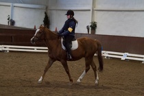 © Filippa Westerlund