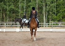 © Filippa Westerlund