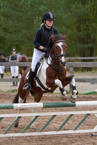 © Filippa Westerlund