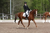 Elisa Kankkunen - Bono
© Anna K