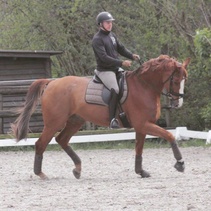 Teemu Ahtee ja Sarotti "Seppo Saksassa valmennusreissulla keväällä 2017, kuva Anne Keinonen.