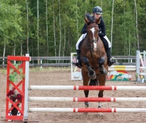 © Filippa Westerlund 