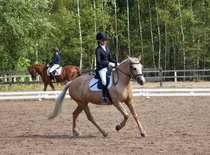 © Filippa Westerlund 