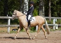 © Filippa Westerlund 