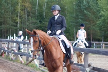 © Filippa Westerlund 