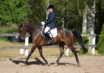 © Filippa Westerlund 