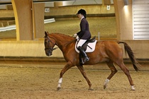 Kuva Primus / Emilia Alamäki