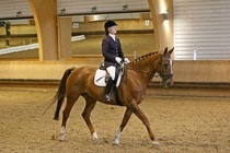 Kuva Primus / Emilia Alamäki