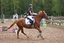 © Filippa Westerlund 