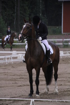 Jenni Ek - Biko (rekisterinimi Igo Drosmigais), 
© Rondy Stenman / Teresa Pollari