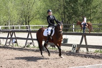 Ronja Nurminen - Waldo
© Anna K