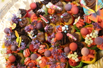 © Maiju Kaarsalo-Koskela