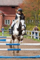 © Filippa Westerlund