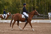 © Filippa Westerlund