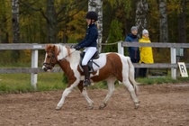 © Filippa Westerlund