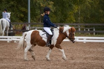 © Filippa Westerlund