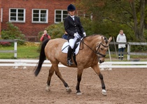 © Filippa Westerlund