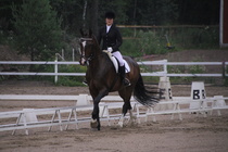 Jenni Ek - Biko (rekisterinimi Igo Drosmigais), 
© Rondy Stenman / Teresa Pollari