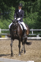 Elisa Kankkunen - Rex (rekisterinimi Rekets) © Rondy Stenman / Teresa Pollari