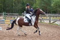 © Filippa Westerlund 