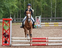 © Filippa Westerlund 