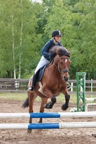 © Filippa Westerlund 