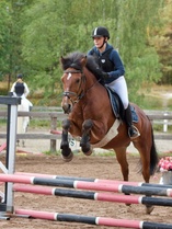 © Filippa Westerlund 