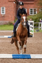 © Filippa Westerlund