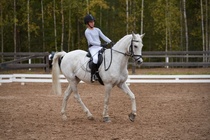 © Filippa Westerlund