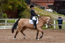 © Filippa Westerlund