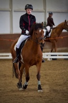 © Filippa Westerlund