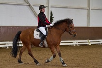 © Filippa Westerlund