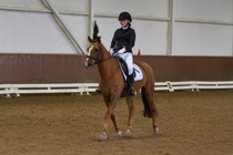 © Filippa Westerlund