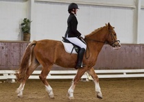 © Filippa Westerlund