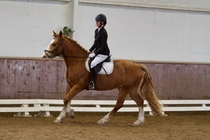 © Filippa Westerlund