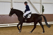 © Filippa Westerlund