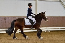 © Filippa Westerlund