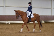 © Filippa Westerlund