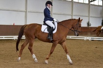 © Filippa Westerlund