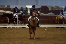 © Filippa Westerlund